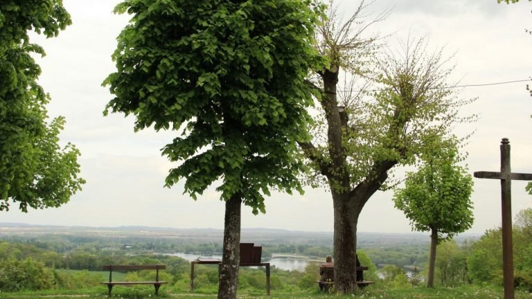 hauteurs de la marne velo �AAllanou