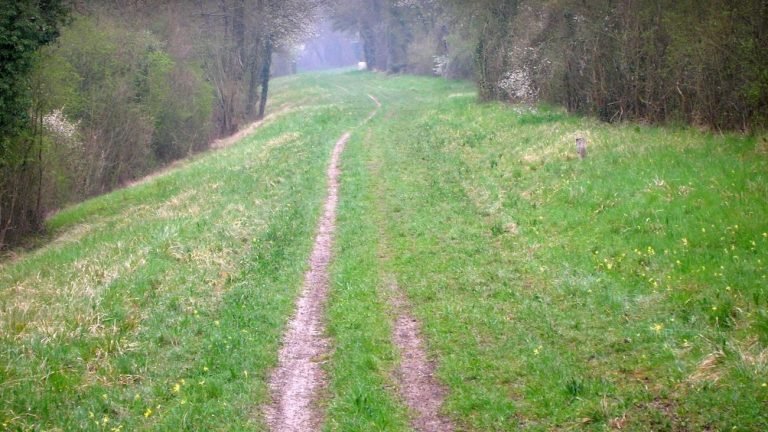 la vallee de la marne de lagny-sur-marne � jablines �commonswikipedia_confucious17