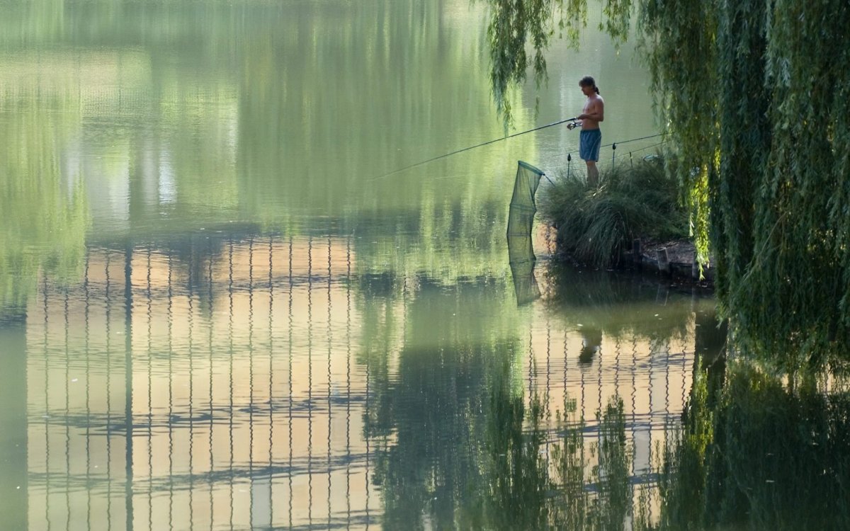 P�cheur en bords de Marne � D. Thierry