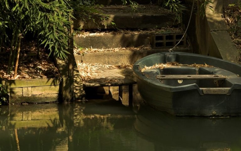 barque marne