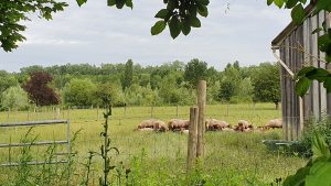 Parc de la Haute-Ile